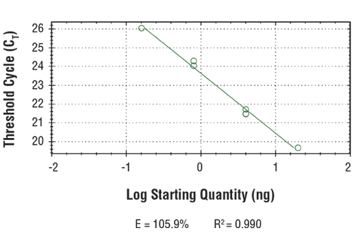PCR Efficiency